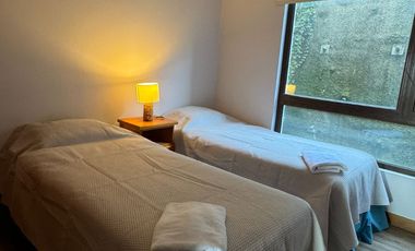 Arriendo Depto Orilla Lago Villarrica en Pucón