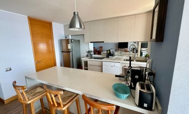 Arriendo Depto Orilla Lago Villarrica en Pucón