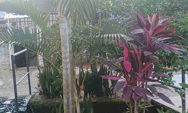 Arriendo Casa Campestre con Piscina en el Guadual Rivera Huila