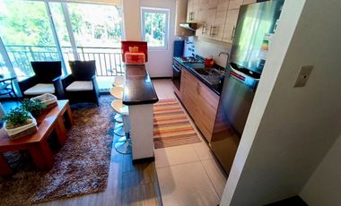 Arriendo Depto camino al Volcán en Pucón