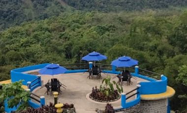 100 hectáreas San Miguel de Los Bancos de Venta