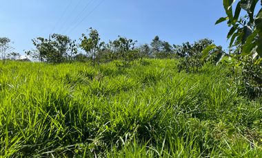 100 hectáreas San Miguel de Los Bancos de Venta