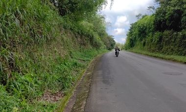 100 hectáreas San Miguel de Los Bancos de Venta