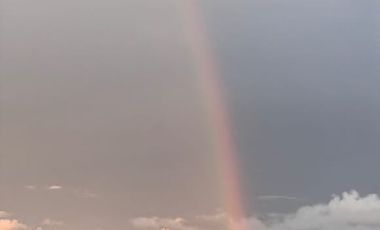 100 hectáreas San Miguel de Los Bancos de Venta