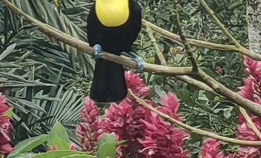 100 hectáreas San Miguel de Los Bancos de Venta