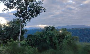 100 hectáreas San Miguel de Los Bancos de Venta