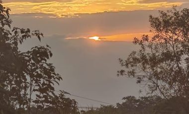 100 hectáreas San Miguel de Los Bancos de Venta