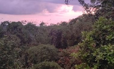 100 hectáreas San Miguel de Los Bancos de Venta