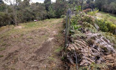 VENTA DE ESPECTACULAR LOTE DE 2.042 MT2, EN LA VÍA HACIA EL PARQUE ARVÍ, VEREDA EL PLACER, SANTA ELENA, MEDELLIN, ANTIOQUIA