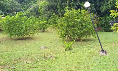 VENDO FINCA UBICACION ESTRATEGICA,.ANAPOIMA CUNDINAMARCA.