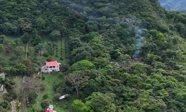 VENDO FINCA UBICACION ESTRATEGICA,.ANAPOIMA CUNDINAMARCA.