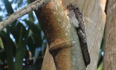 VENDO FINCA UBICACION ESTRATEGICA,.ANAPOIMA CUNDINAMARCA.