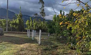 se vende Casa de campo área total 500 metros en cotacachi Imbabura Ecuador urbano