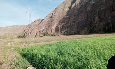 DONDE EL TURISMO SE CONVIERTE EN INVERSIÓN INTELIGENTE  Valle Sagrado – Pachar | Camino a Ollantaytambo (Urubamba)