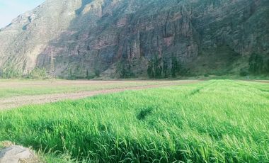 DONDE EL TURISMO SE CONVIERTE EN INVERSIÓN INTELIGENTE  Valle Sagrado – Pachar | Camino a Ollantaytambo (Urubamba)
