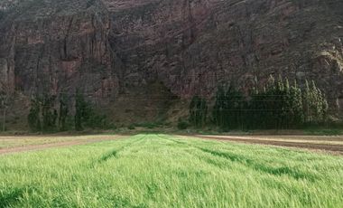 DONDE EL TURISMO SE CONVIERTE EN INVERSIÓN INTELIGENTE  Valle Sagrado – Pachar | Camino a Ollantaytambo (Urubamba)