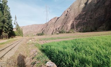 DONDE EL TURISMO SE CONVIERTE EN INVERSIÓN INTELIGENTE  Valle Sagrado – Pachar | Camino a Ollantaytambo (Urubamba)