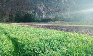 DONDE EL TURISMO SE CONVIERTE EN INVERSIÓN INTELIGENTE  Valle Sagrado – Pachar | Camino a Ollantaytambo (Urubamba)