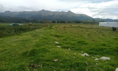 🌿 NO ES SOLO UN TERRENO… ES EL ESPACIO DONDE EMPIEZA TU NUEVA VIDA   Zurite – Anta | Cusco