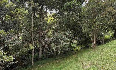 CASA CAMPESTRE A 7 MINUTOS DEL AEROPUERTO JMC