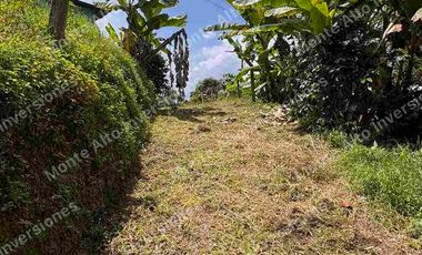 VENTA | 💰 Genera ingresos desde el primer día: lote1000metros  cafetero en zona turística de alta valorización