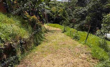VENTA | 💰 Genera ingresos desde el primer día: lote1000metros  cafetero en zona turística de alta valorización