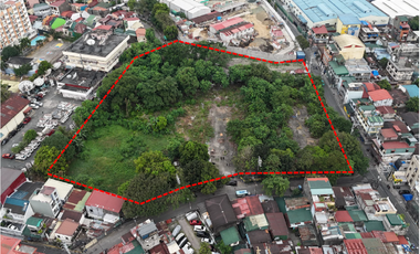 Property for lease in Mandaluyong City, Metro Manila