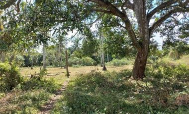 Residential Lot For Sale at Batangas City few minutes to STAR Tollway and Batangas Port