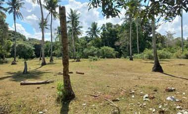 Residential Lot For Sale at Batangas City few minutes to STAR Tollway and Batangas Port