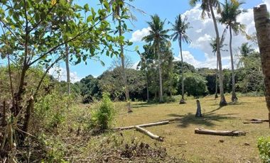 Residential Lot For Sale at Batangas City few minutes to STAR Tollway and Batangas Port