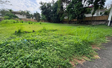 Rare Prime Lot for Sale in Ayala Alabang Village Muntinlupa City | Rare availability