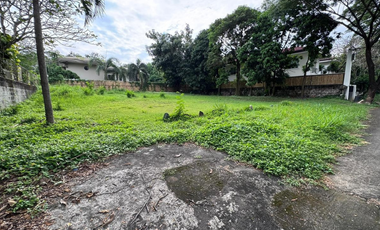 Rare Prime Lot for Sale in Ayala Alabang Village Muntinlupa City | Rare availability