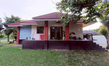 96242 - ขายบ้านเดี่ยวพร้อมสวนสวย 362 ตร.วา ทำเลดี ย่านชุมชน ถนนเส้นรอง ใกล้ปั้ม ปตท หนองตะพาน บ้านค่าย ระยอง