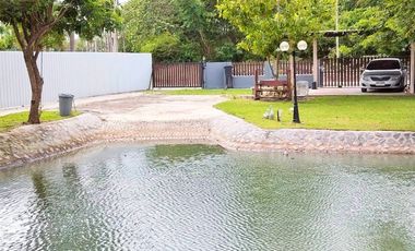 96242 - ขายบ้านเดี่ยวพร้อมสวนสวย 362 ตร.วา ทำเลดี ย่านชุมชน ถนนเส้นรอง ใกล้ปั้ม ปตท หนองตะพาน บ้านค่าย ระยอง