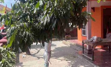 dijual Rumah Siap Huni di Cicalengka Kabupaten Bandung 300 juta / Nego