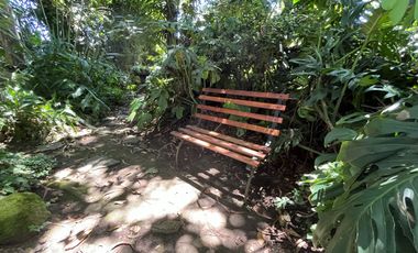 CASA AMOBLADA EN RENTA – PAKAKUNA GARDENS, CHECA