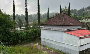 450 m rumah joglo di bedugul for sale