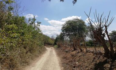 Venta de Terreno en Sector El Limón en Portoviejo
