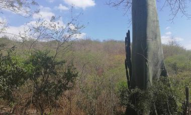 Venta de Terreno en Sector El Limón en Portoviejo