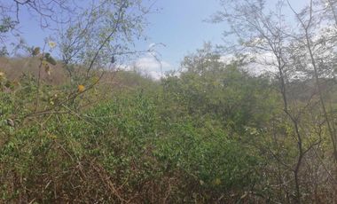 Venta de Terreno en Sector El Limón en Portoviejo