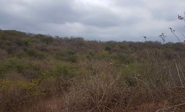 Venta de Terreno en Sector El Limón en Portoviejo