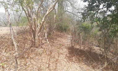 Venta de Terreno en Sector El Limón en Portoviejo
