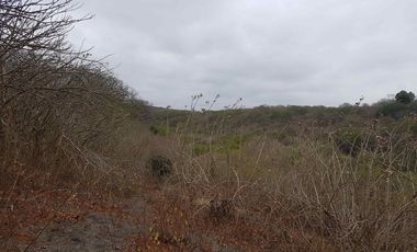 Venta de Terreno en Sector El Limón en Portoviejo