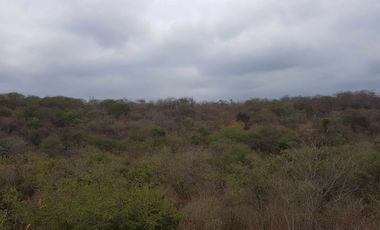 Venta de Terreno en Sector El Limón en Portoviejo