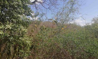 Venta de Terreno en Sector El Limón en Portoviejo