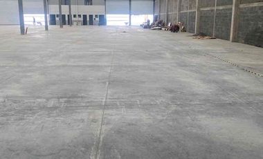 BODEGA RENTA APODACA