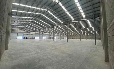 BODEGA RENTA APODACA