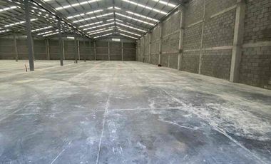 BODEGA RENTA APODACA