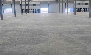 BODEGA RENTA APODACA