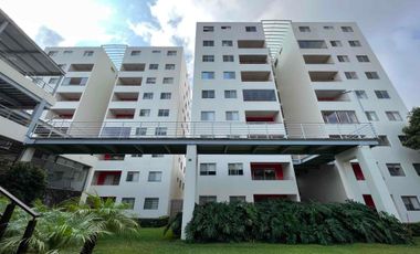 Departamento Semi-Amueblado en Renta en Colonia Tlaltenango, Cuernavaca, Morelos